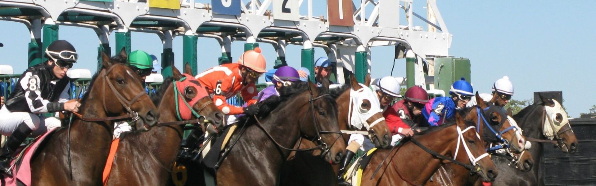 Can You Bet on Horse Racing Online?