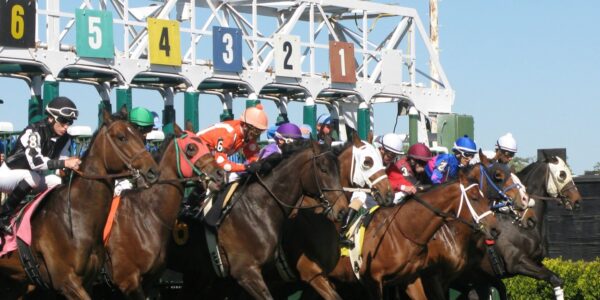 Can You Bet on Horse Racing Online?